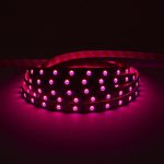 striscia-led-24v-72w-rgb-5mt-300-smd-5050-da-interno-ip20-2