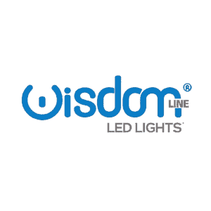 logo wisdom sito