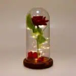 campana rosa eterna xc-4412