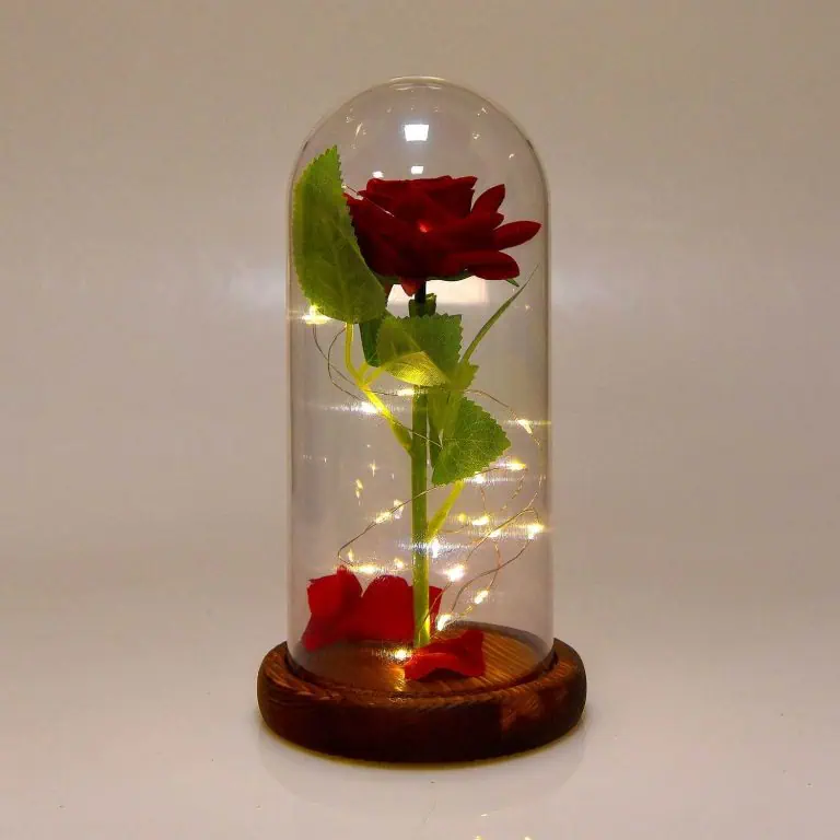 campana rosa eterna xc-4412