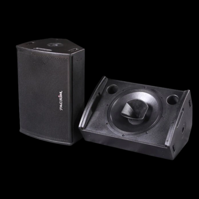 Monitor Attivo Coassiale 12