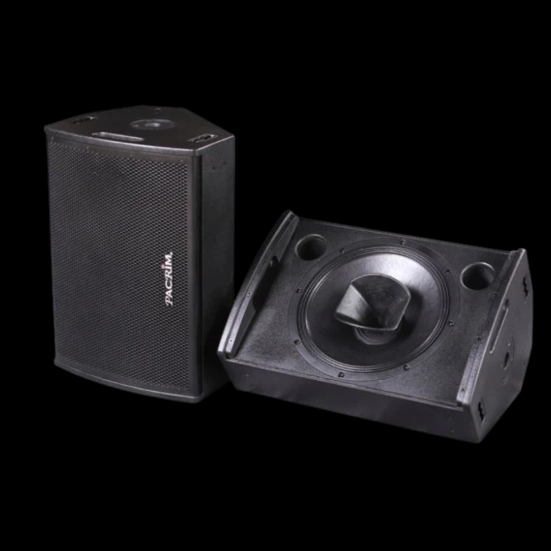 Monitor Attivo Coassiale 12